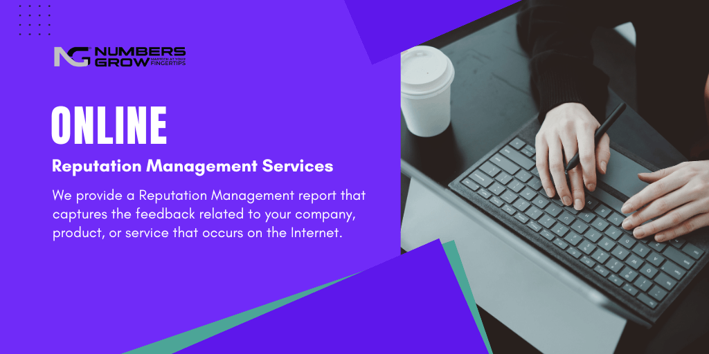 Online Reputation Management Services